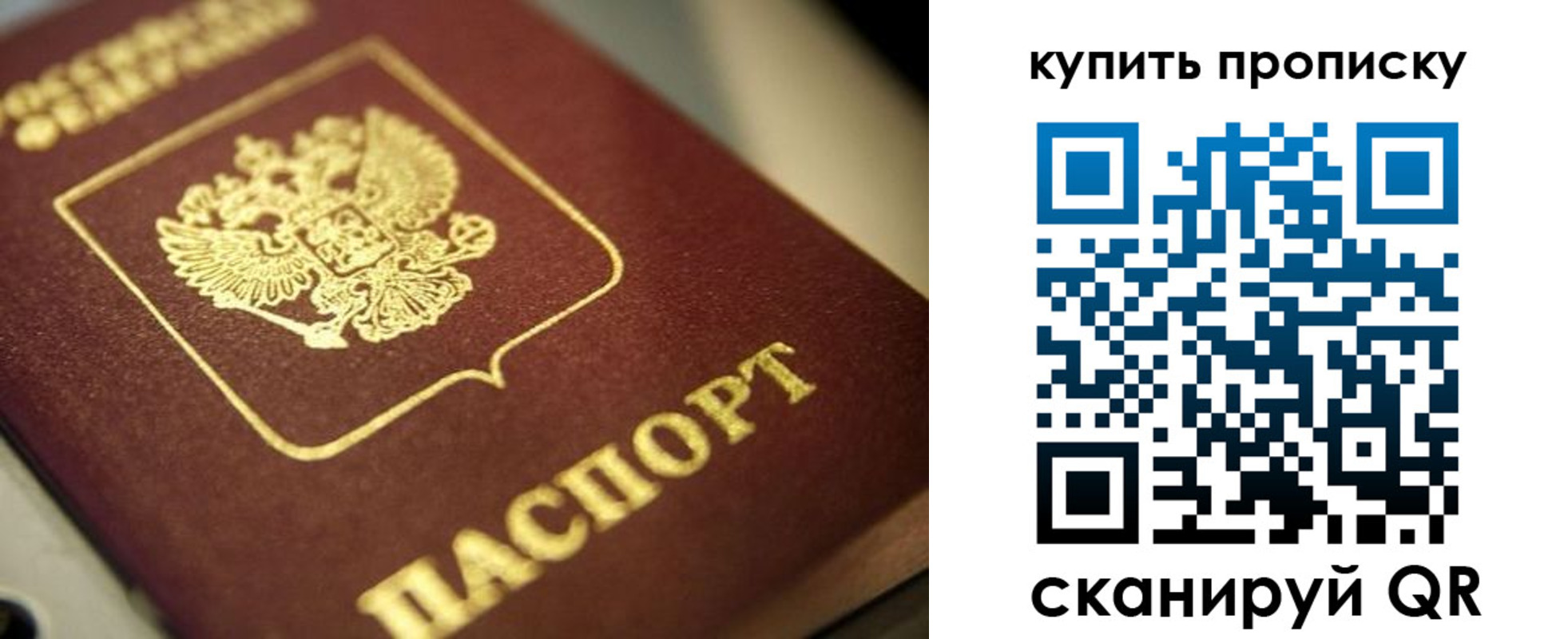 прописка поиск в Куртамыше